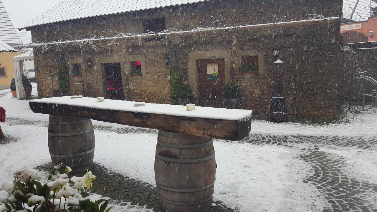 Der Patrizierhof - Weingut Gasthof Hotel - Familie Grebner Grosslangheim ภายนอก รูปภาพ